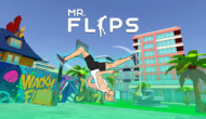 Mr Flip Mr Flip