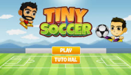 Tiny Soccer